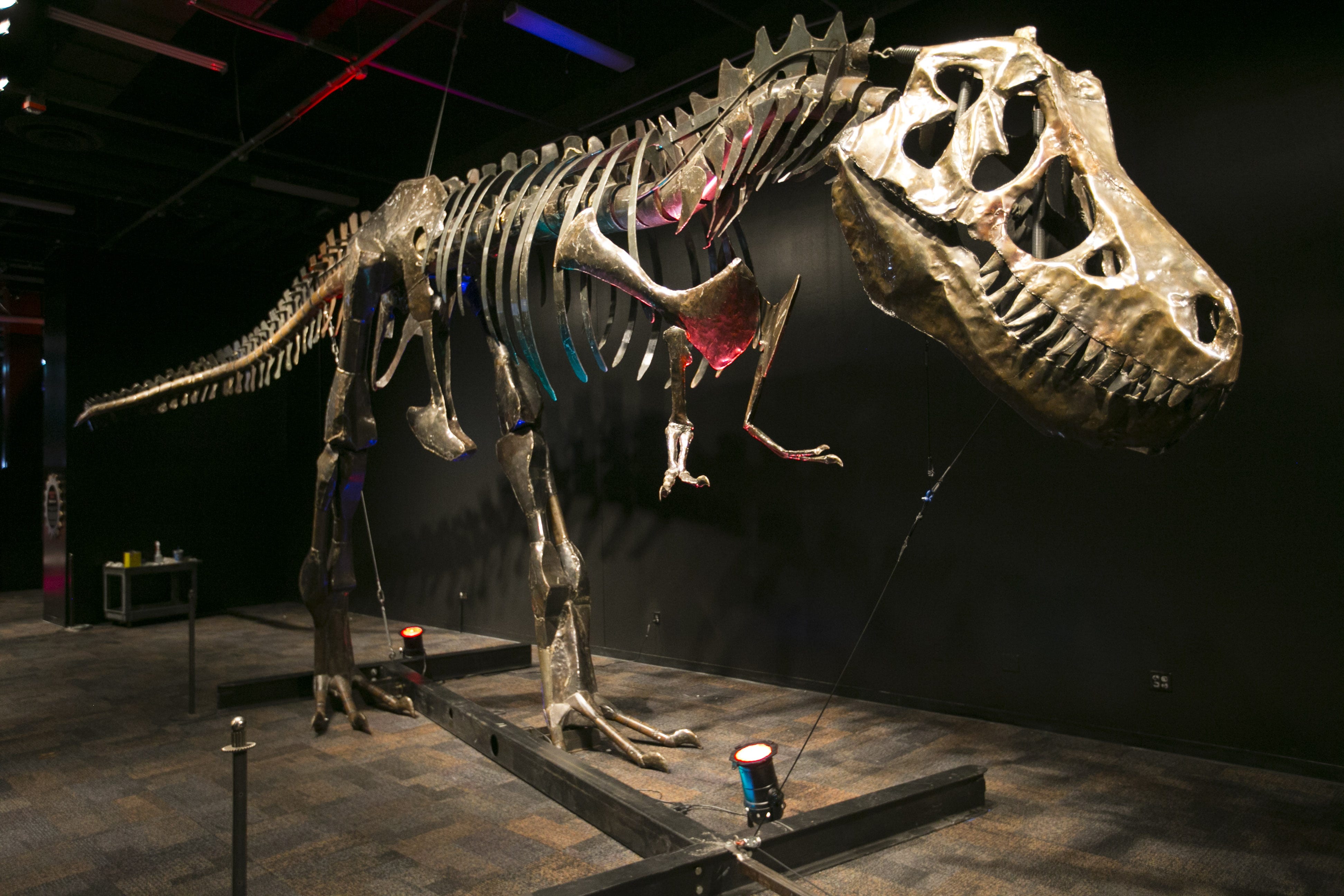 Animatronic dinosaur skeleton clearance